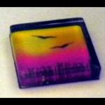 Magnet - Bird - 1 Inch Glas..