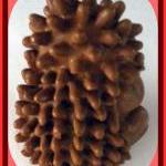 Soap - Hedgehog - Choose Co..
