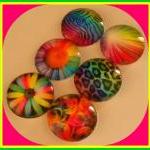 Magnets - Set of 6 - Neon R..