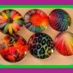 Magnets - Set of 6 - Neon R..