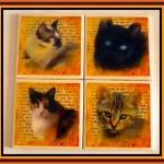 Coasters - Ceramic Tile - S..