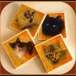 Coasters - Ceramic Tile - S..