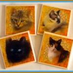 Coasters - Ceramic Tile - S..