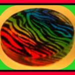 Magnet - Neon Zebra Print M..