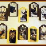 Tags - Wild Animals - 10 Gi..