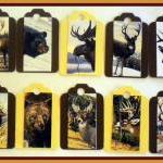 Tags - Wild Animals - 10 Gi..