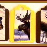 Tags - Wild Animals - 10 Gi..