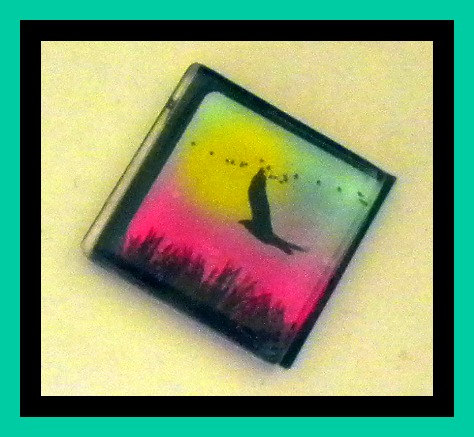 Magnet - Bird - 1 Inch Glass Square