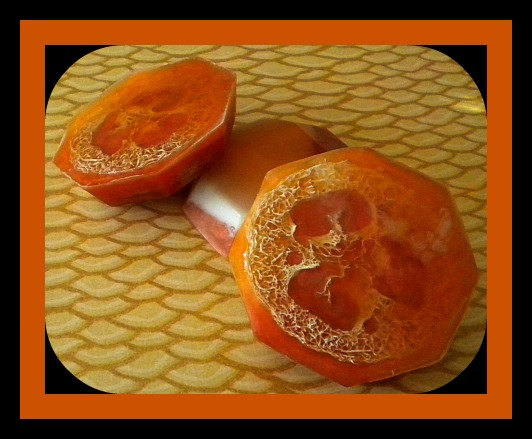 Loofah Soap - Warm Vanilla Sugar Goat Milk Soap Exfoliator