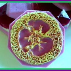 Relaxing Lavender French Vanilla Goat Milk Soap Exfoliator