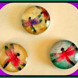 Magnets - Dragonflies Magnet Set of 3 - (Set 3) - 1 Inch Domed Glass Circles