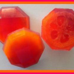 Loofah Soap - Pomegranate Mango Papaya Goat Milk Soap Exfoliator