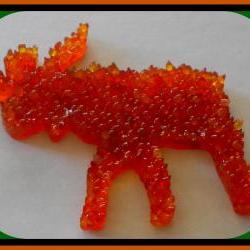 Aroma Bead Melt - Moose - Pumpkin Pie Scented