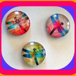 Magnets - Set of 3 - Dragonflies (Set 1) - 1 Inch Domed Glass Circles